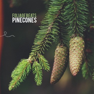 Pinecones