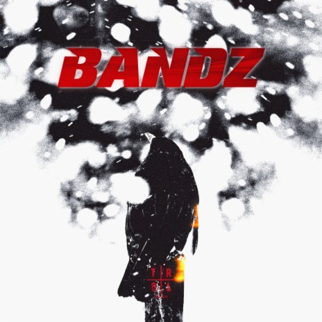 BANDZ | Boomplay Music