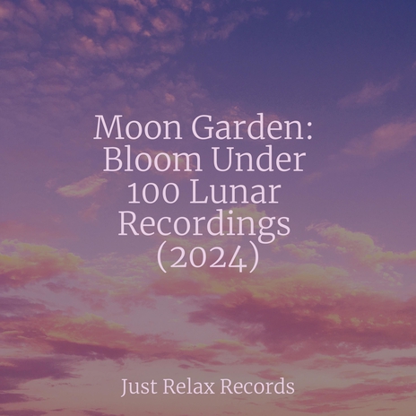 Harmony's Tender Embrace ft. Guided Meditation & Music For Absolute Sleep | Boomplay Music