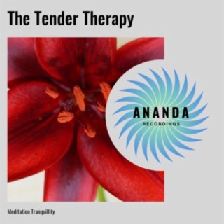 The Tender Therapy: Meditation Tranquillity