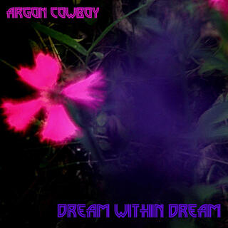 dream within dream