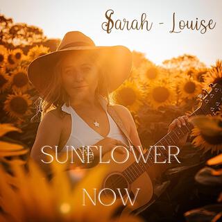 SUNFLOWER (INSTRUMENTAL) lyrics | Boomplay Music