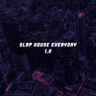 Slap House Everyday 1.0