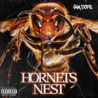 Hornets Nest