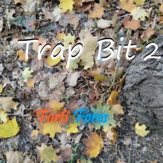 Trap Bit 2