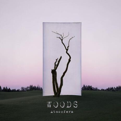 WOODS | Boomplay Music