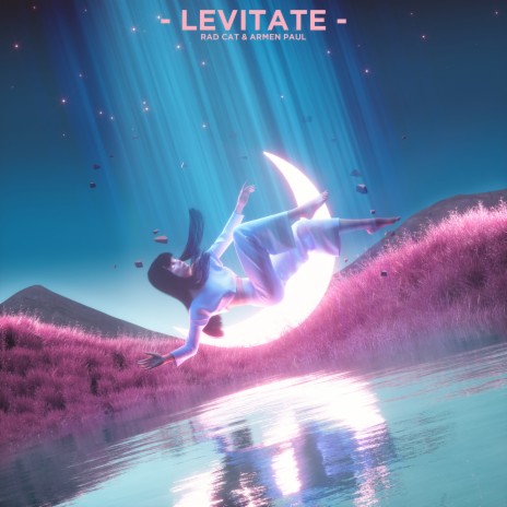 Levitate ft. Armen Paul | Boomplay Music