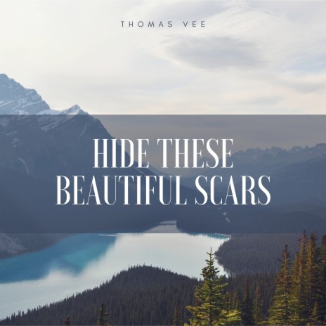 Hide These Beautiful Scars | Boomplay Music