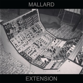 Extension