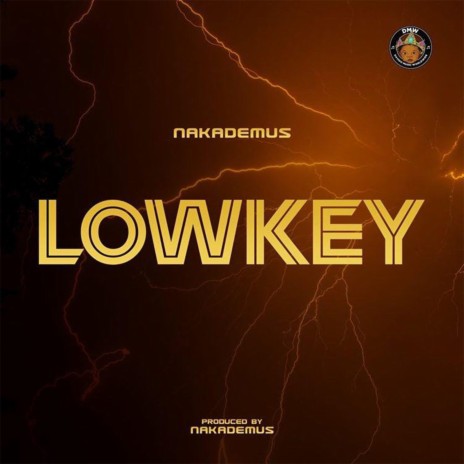 Lowkey | Boomplay Music