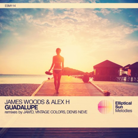 Guadalupe (Vintage Colors Remix) ft. Alex H | Boomplay Music