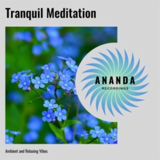 Tranquil Meditation: Ambient and Relaxing Vibes