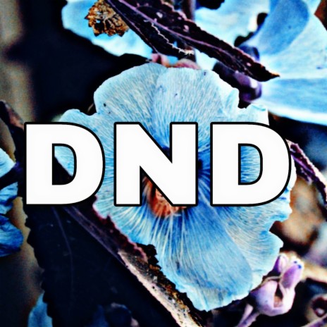 DND (R E M A) | Boomplay Music