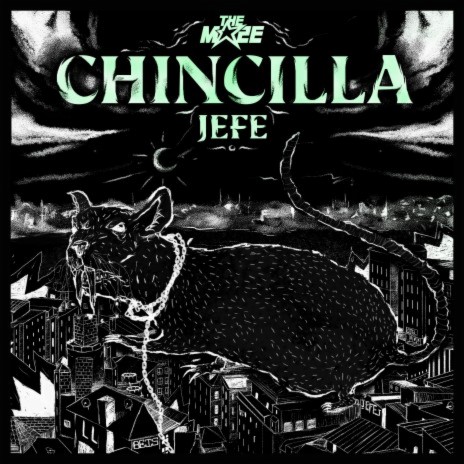 CHINCILLA | Boomplay Music