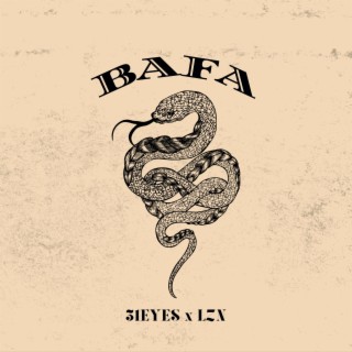 BAFA ft. LZN lyrics | Boomplay Music
