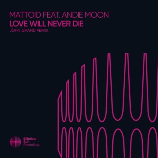 Love Will Never Die (John Grand Remix)