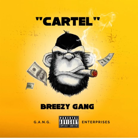 Cartel | Boomplay Music