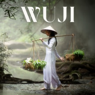 Wuji: The Infinite, Reiki Music, Stop Overthinking
