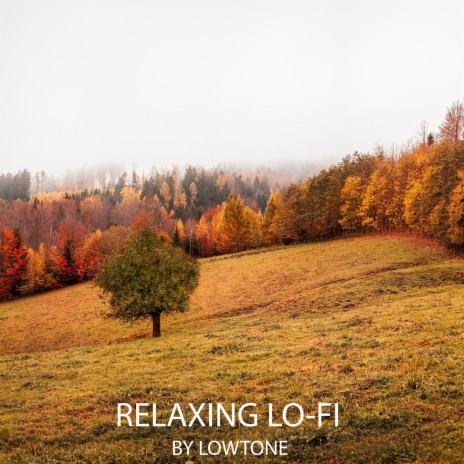 Relaxing Lo-Fi | Boomplay Music