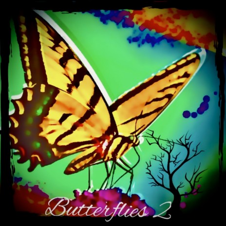 Butterflies 2 ft. Tempele | Boomplay Music