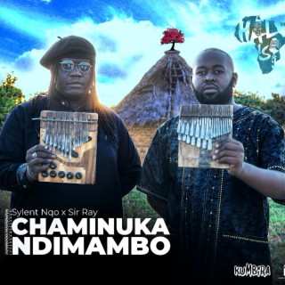 Chaminuka Ndimambo