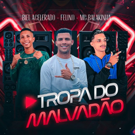 Tropa do Malvadão ft. Biel Acelerado & Eo Felino | Boomplay Music