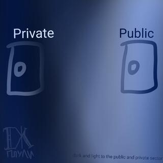 dark and light to the public and private sector