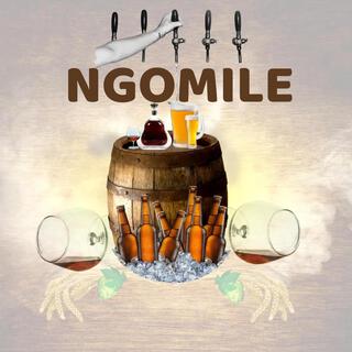 Ngomile 2.0