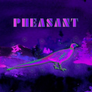 pheasant