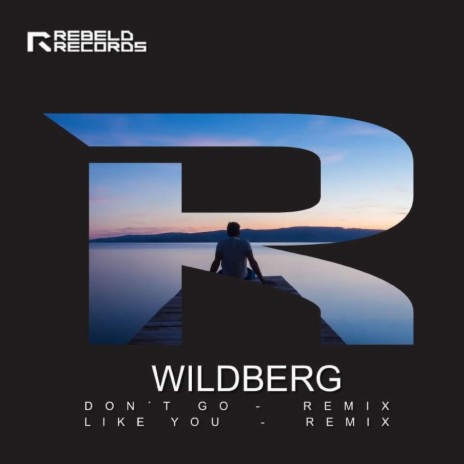 Dont Go (Wildberg Remix) | Boomplay Music