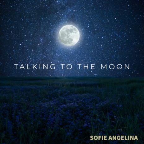 Talking To The Moon | Boomplay Music