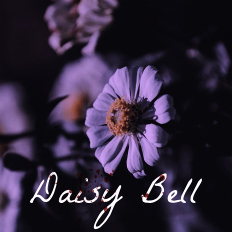 Daisy Bell | Boomplay Music