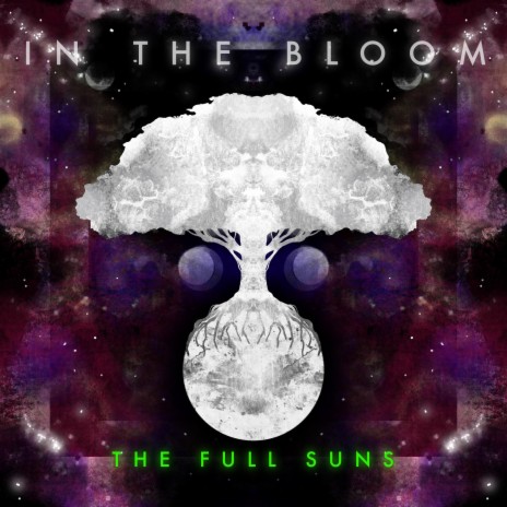 In the Bloom | Boomplay Music