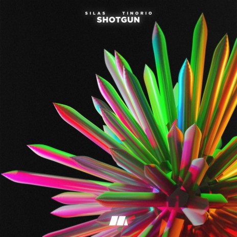 Shotgun ft. Tinorio | Boomplay Music