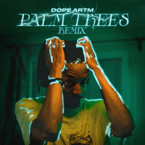 Palm Trees Freestyle | Boomplay Music