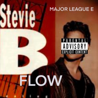 Stevie b flow