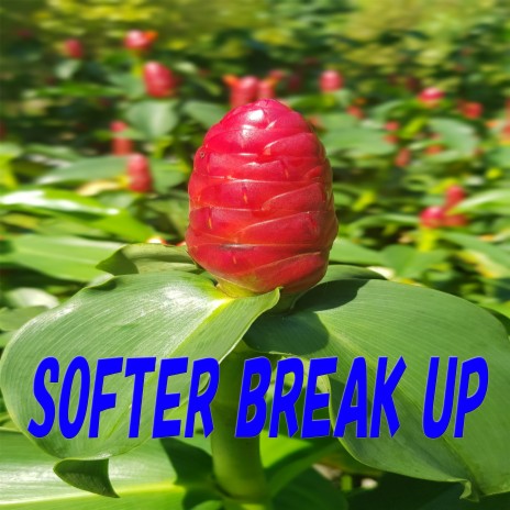 Softer Break Up | Boomplay Music