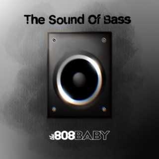 The Sound Of Bass