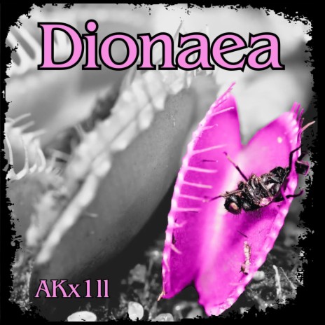 Dionaea | Boomplay Music