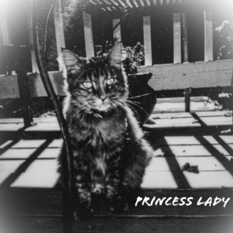 Princess Lady | Boomplay Music