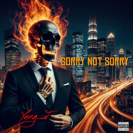 Sorry Not Sorry | Boomplay Music