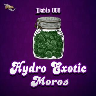 Hydro Exotic Moros