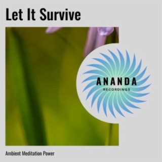 Let It Survive: Ambient Meditation Power