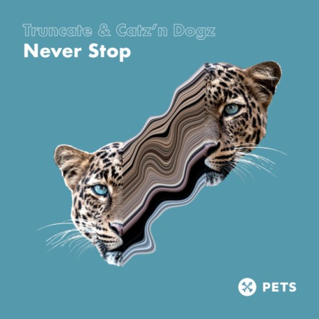 Never Stop (Original Mix) ft. Catz 'n Dogz | Boomplay Music