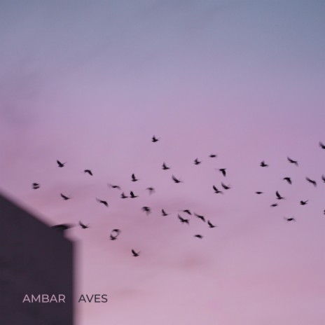 Aves (Instrumental)