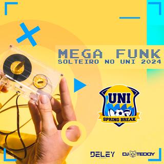 MEGA FUNK SOLTEIRO NO UNI (DJ TEDDY Remix)