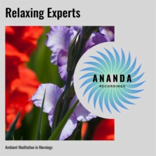 Relaxing Experts: Ambient Meditation in Mornings