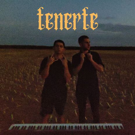 Tenerte | Boomplay Music