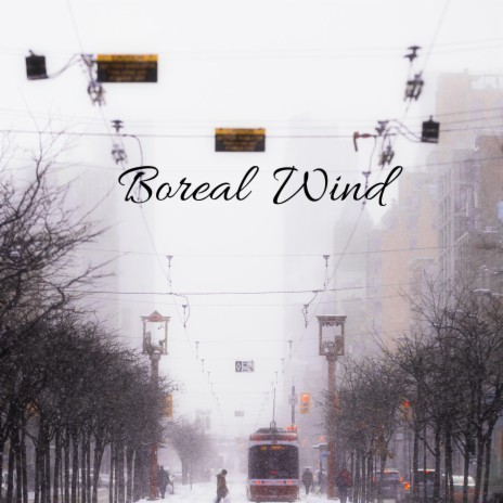 Boreal Wind | Boomplay Music