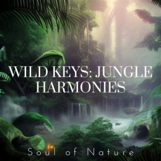 Wild Keys: Jungle Harmonies